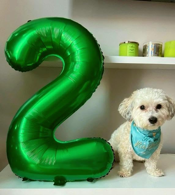 Green Number 2 Balloon 40 inch, Balloon numbers party supplies, deco photo shoot - Image 5