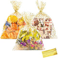 COQOFA 11" X 14" Cello Cellophane Treat, Party Favor, Cookie and Goodie Plastic by COQOFA